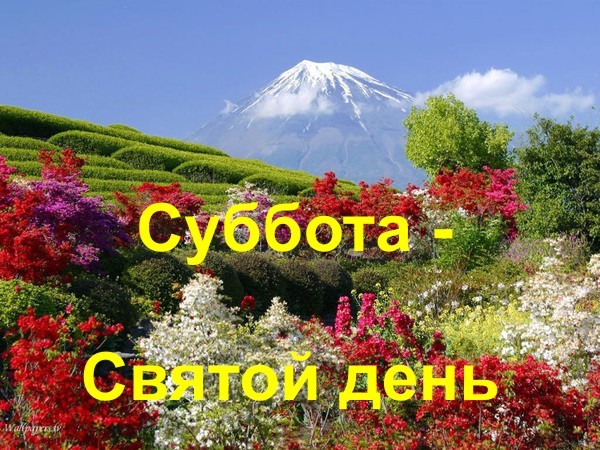 Поздравления С Днем Субботы Христианские