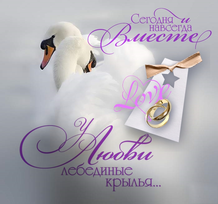 Razvivashie Zadaniya Otkritka