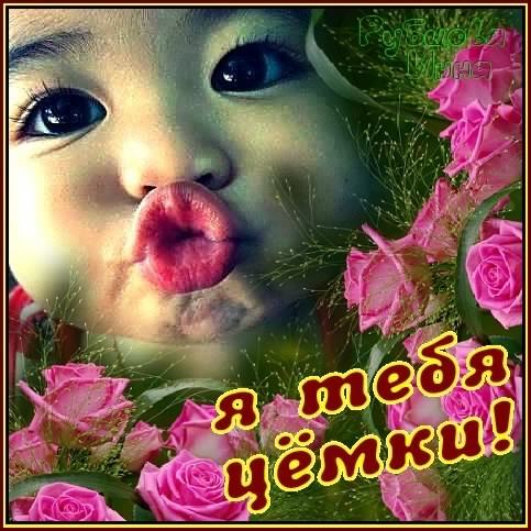 открытки целую, целую много раз