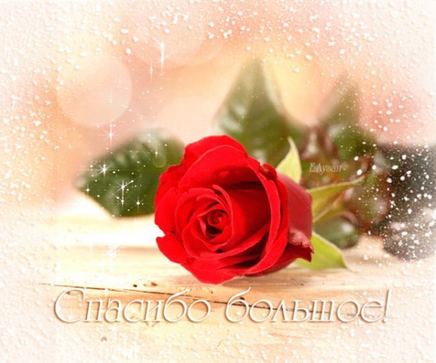 открытки спасибо, thank you, merci, благодарю тебя, большое спасибо