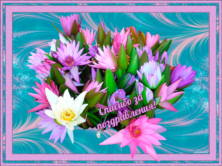 открытки спасибо, thank you, merci, благодарю тебя, большое спасибо