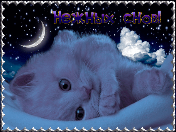 спокойной ночи. открытки с пожеланием спокойной ночи. приятных снов. сладких снов. приятных сновидений. доброй ночи. нежных снов. волшебных снов. спите сладко 