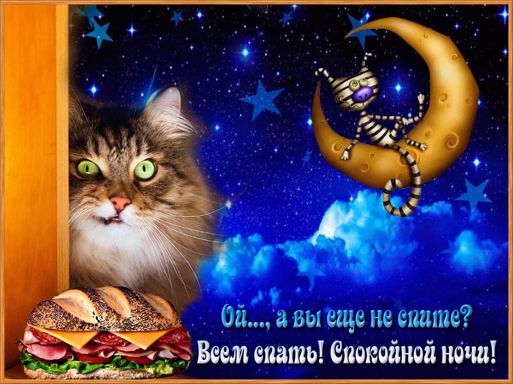 Открытки спокойной ночи. открытки с пожеланием спокойной ночи. приятных снов. сладких снов. приятных сновидений. доброй ночи. нежных снов. волшебных снов. спите сладко  спокойной ночи. открытки с пожеланием спокойной ночи. приятных снов. сладких снов. приятных сновидений. доброй ночи. нежных снов. волшебных снов. спите сладко 