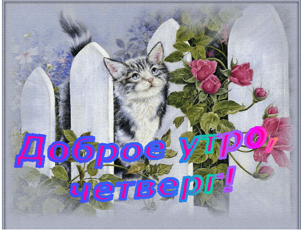 Открытки про четверг