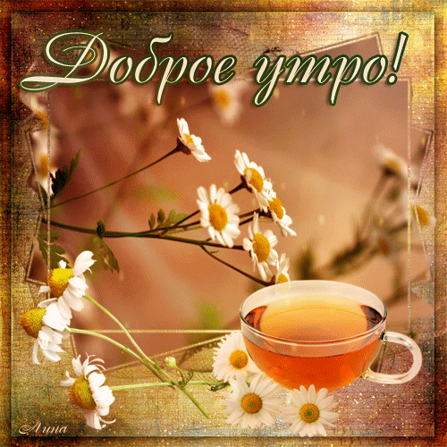 доброе утро. открытки с добрым утром. с добрым утром. желаю доброго утра