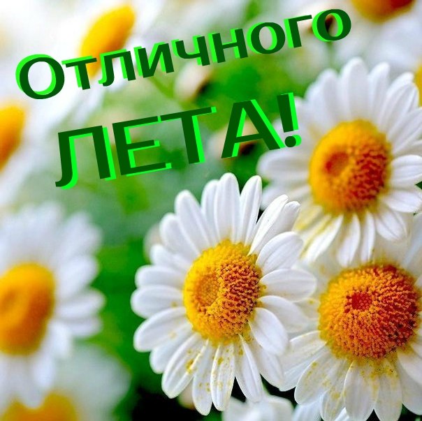 Открытки про лето