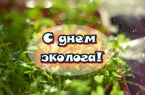 день эколога. открытки к празднику