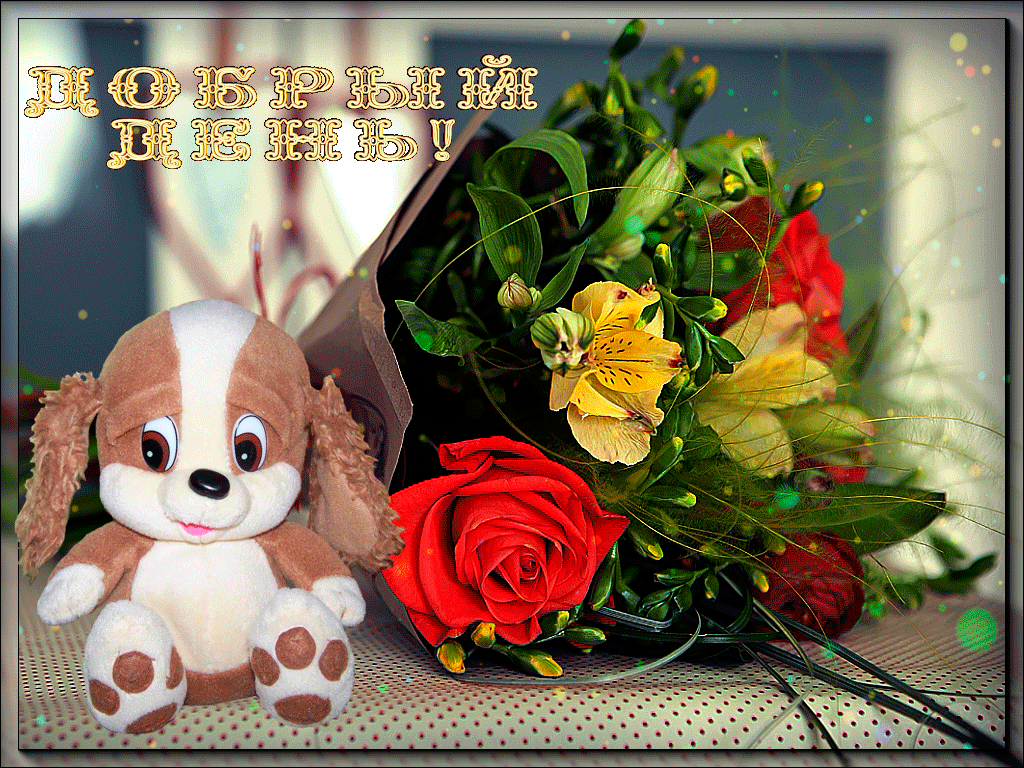 добрый день. открытки добрый день.доброго дня. хорошего дня. удачного дня