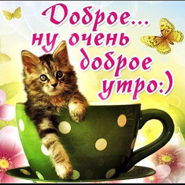 доброе утро. открытки с добрым утром. с добрым утром. желаю доброго утра