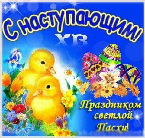 Без названия