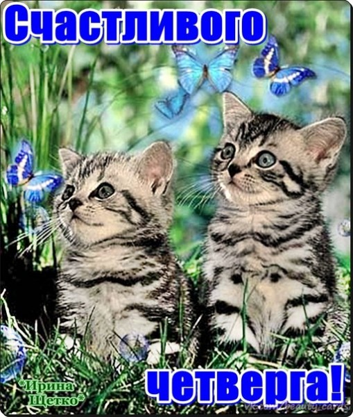 Открытки про четверг