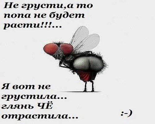 не грусти. не скучай. все будет хорошо. улыбнись. все пройдет