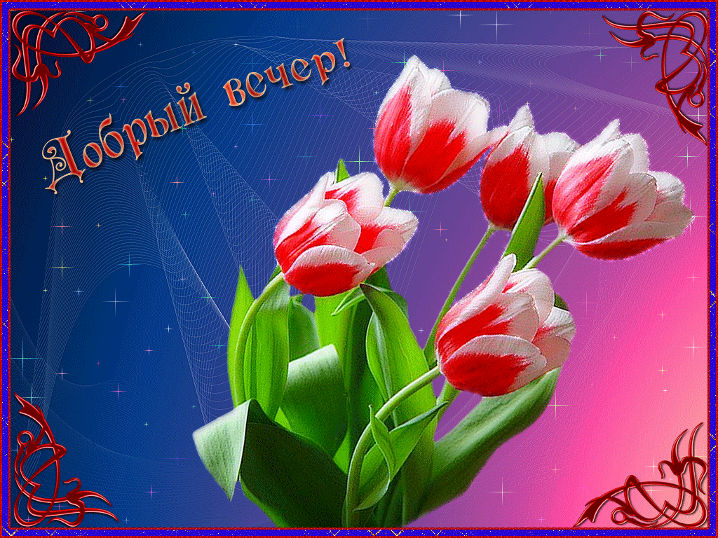 добрый вечер. приятного вечера. доброго вам вечера. хорошего вечера. приятного летнего вечера. отдыхайте с удовольствием .хорошего вечера, приятного общения