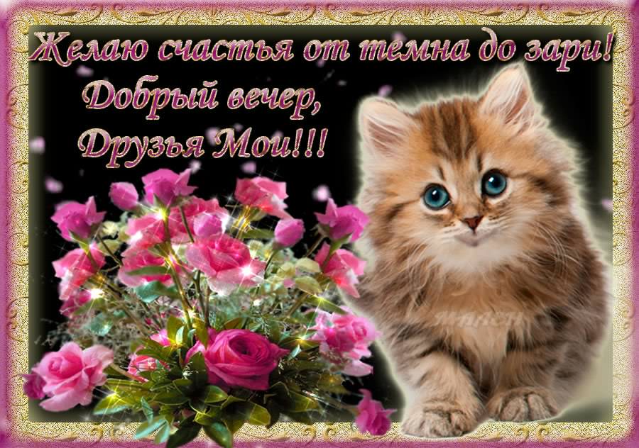 добрый вечер. приятного вечера. доброго вам вечера. хорошего вечера. приятного летнего вечера. отдыхайте с удовольствием .хорошего вечера, приятного общения