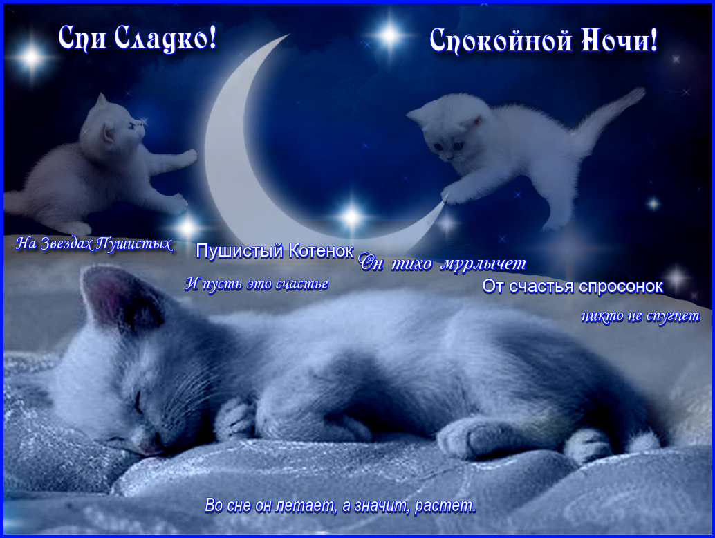 Поздравление спокойной ночи. Приятных сладких снов. Прикольные пожелания спокойной ночи. Доброй ночи приятных сновидений.
