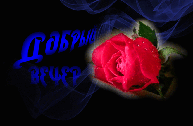добрый вечер. приятного вечера. доброго вам вечера. хорошего вечера. приятного летнего вечера. отдыхайте с удовольствием .хорошего вечера, приятного общения