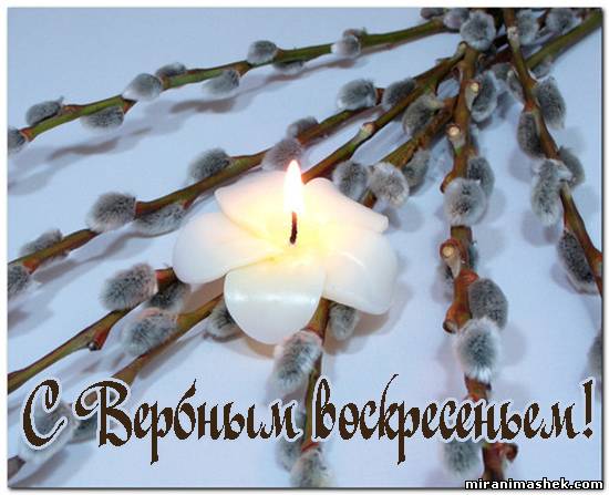 открытки на вербное воскресенье. пожелания к празднику вербное воскресенье