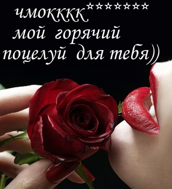 открытки целую, целую много раз