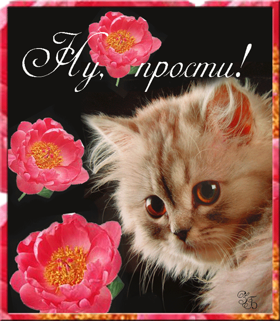 прости. прости меня. открытки прости. прости пожалуйста. прости меня пожалуйс...