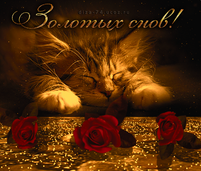 спокойной ночи. открытки с пожеланием спокойной ночи. приятных снов. сладких снов. приятных сновидений. доброй ночи. нежных снов. волшебных снов. спите сладко 