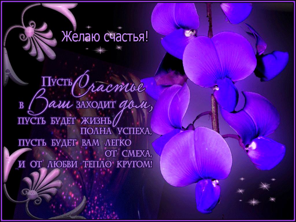 счастья. открытки с пожеланием счастья