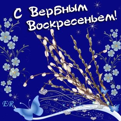 Без названия