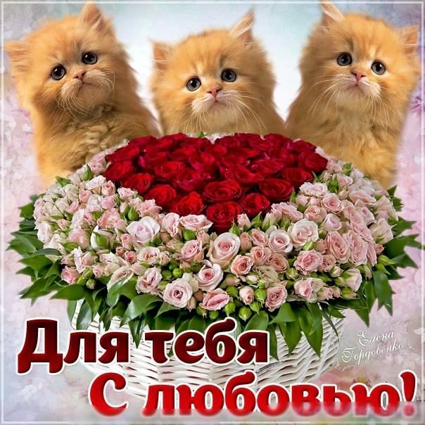 открытки с любовью, с любовью для тебя,
