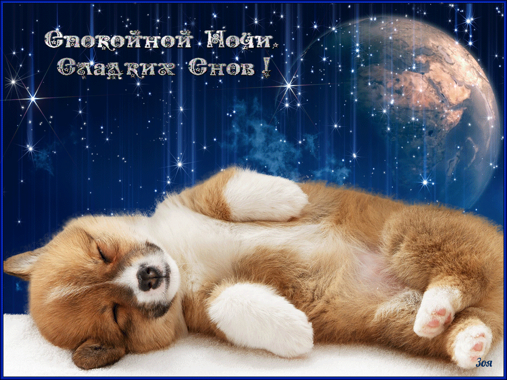 Бесплатные открытки спокойной ночи с хорошими пожеланиями. Спокойной ночи сладких снов. Доброй ночи сладких снов. Спокойнойночкисладкихснов. Спокойной ночи сладких СНО.