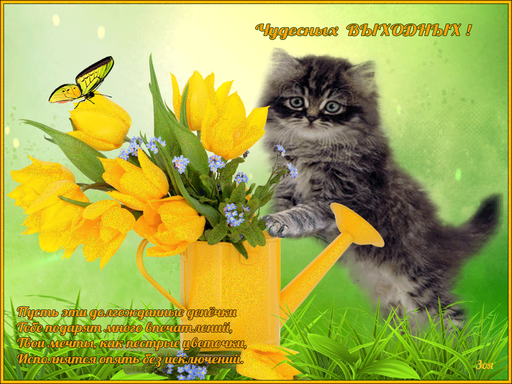 Приятных выходных