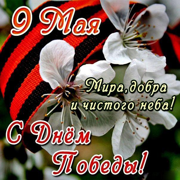 день победы. 9 мая. великая победа. парад победы. салют. салют победы.