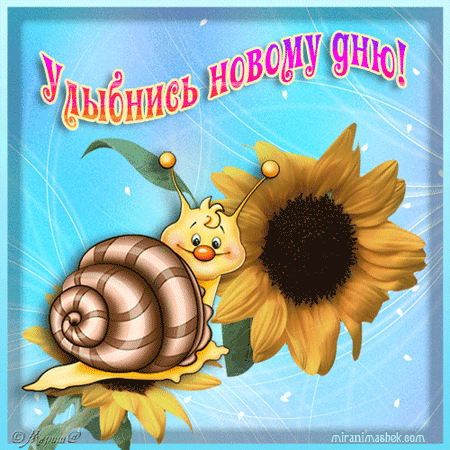 улыбнись. улыбайся. smile. улыбка. улыбайся и мир улыбнется тебе