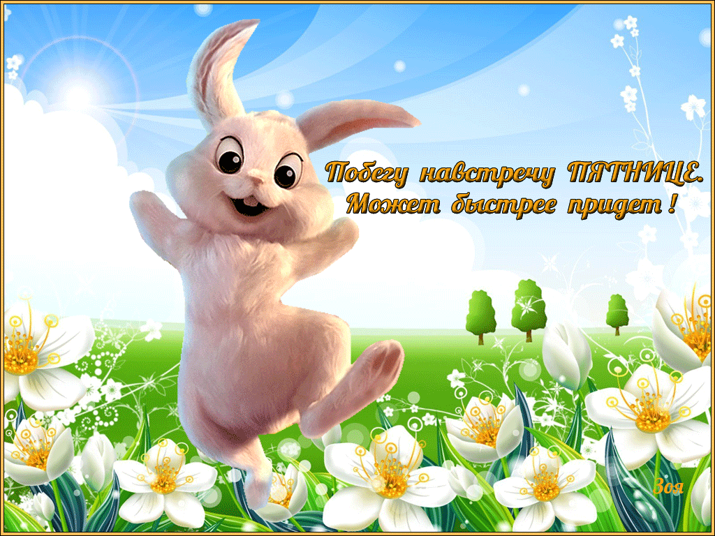 Приятных выходных