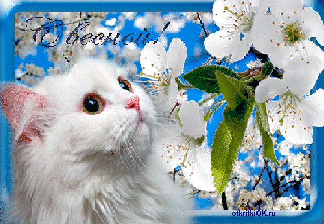 Весенние открытки