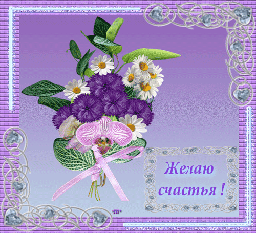 счастья. открытки с пожеланием счастья