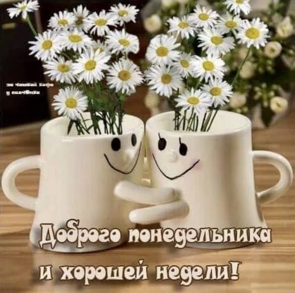 понедельник. открытки к понедельнику. опять понедельник. легкого