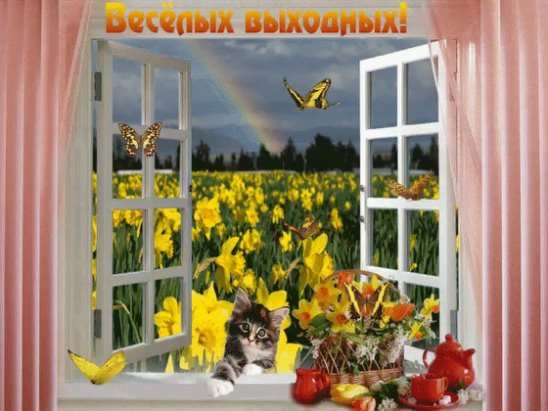 Приятных выходных