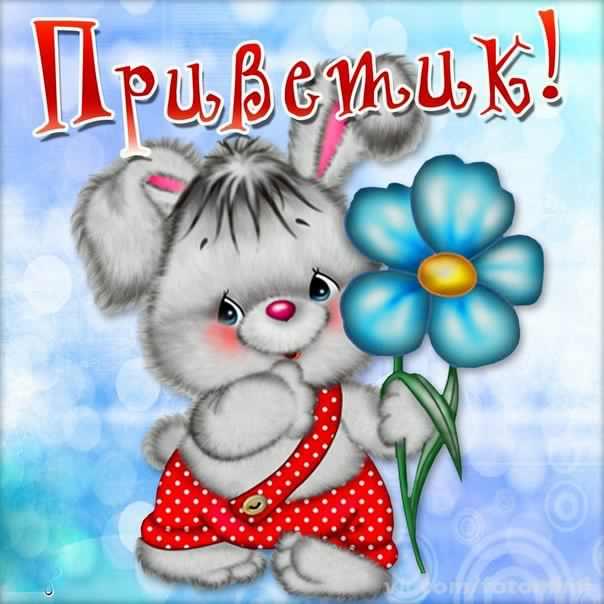 открытки привет, как дела. как настроение. пожелание хорошего дня