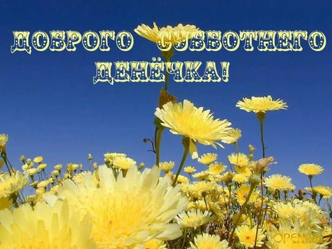 Хорошего субботнего дня