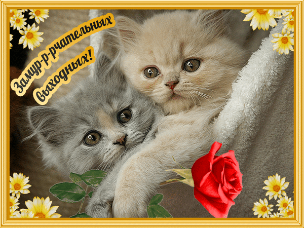 Приятных выходных