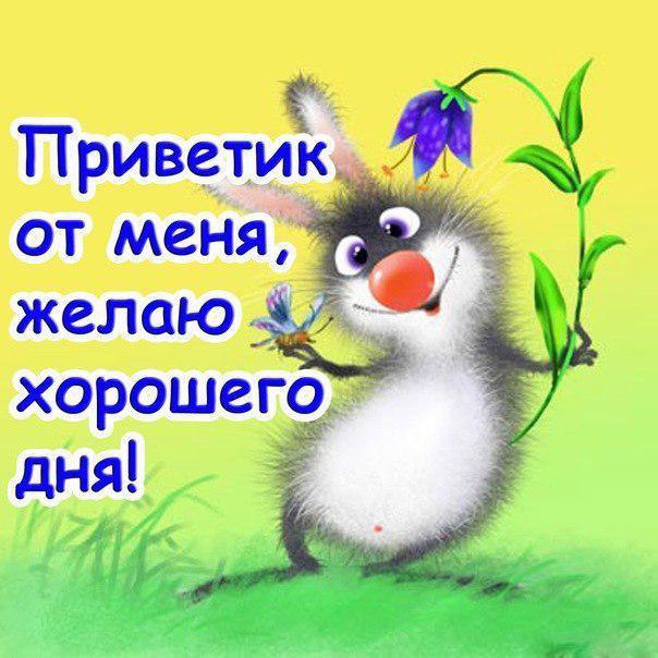 открытки привет, как дела. как настроение. пожелание хорошего дня