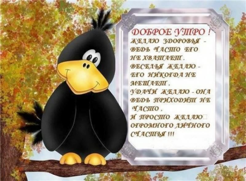 доброе утро. открытки с добрым утром. с добрым утром. желаю доброго утра