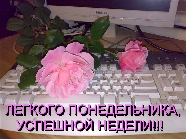 Открытки понедельник. открытки к понедельнику. опять понедельник. легкого понедельник. открытки к понедельнику. опять понедельник. легкого