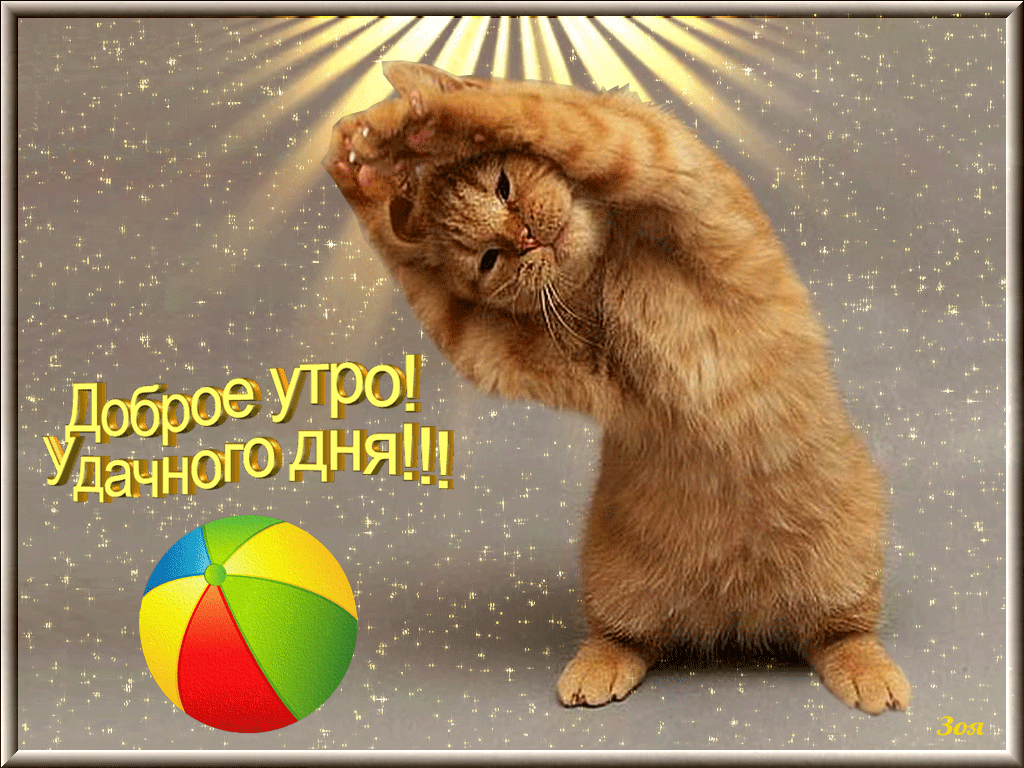 доброе утро. открытки с добрым утром. с добрым утром. желаю доброго утра