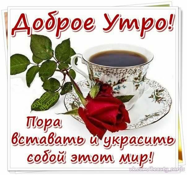 доброе утро. открытки с добрым утром. с добрым утром. желаю доброго утра