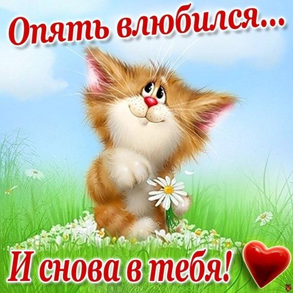 открытки любимым с любовью. я тебя люблю. i love you. люблю больше жизни