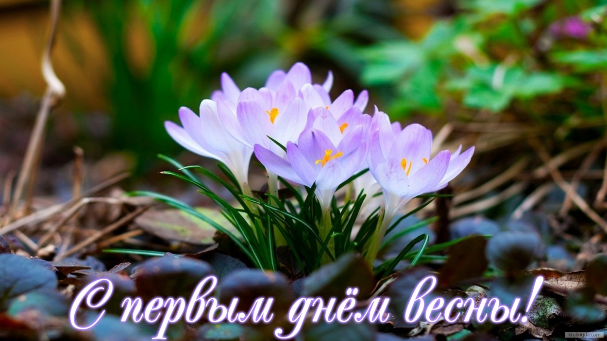 Весенние открытки