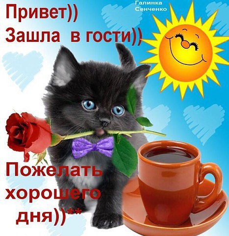 открытки привет, как дела. как настроение. пожелание хорошего дня