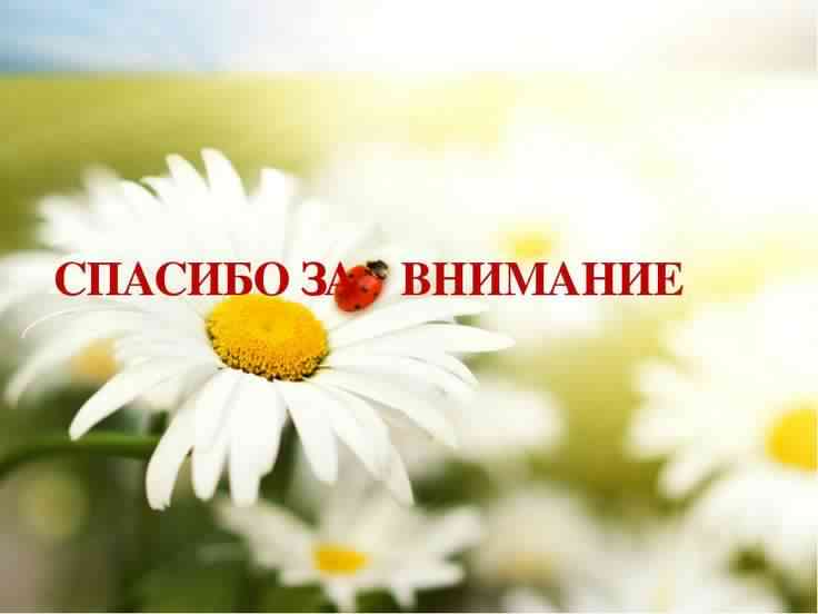 открытки спасибо, thank you, merci, благодарю тебя, большое спасибо