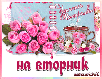 вторник. с добрым вторником.