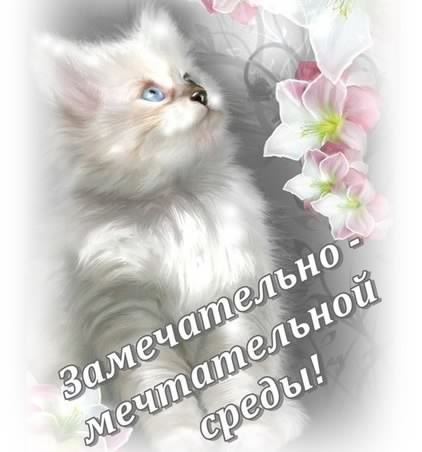 С веселой средой